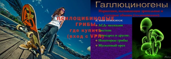 ПСИЛОЦИБИНОВЫЕ ГРИБЫ Бородино